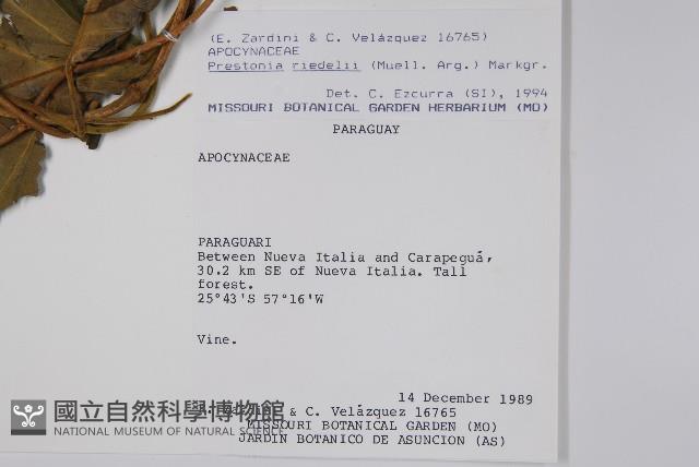 登錄號:S062289藏品圖，第2張