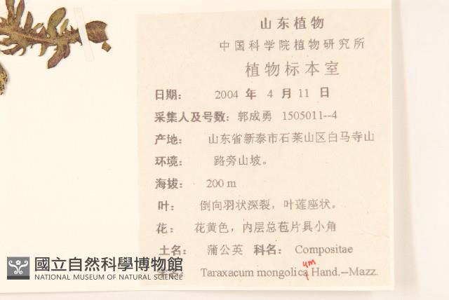 蒲公英藏品圖，第2張