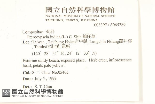 Accession Number:S065289 Collection Image, Figure 2, Total 2 Figures