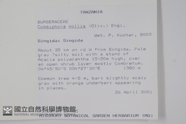 登錄號:S094289藏品圖，第2張