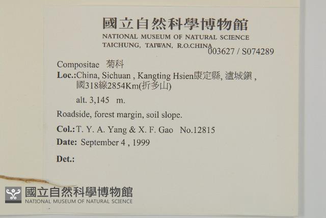 登錄號:S074289藏品圖，第2張