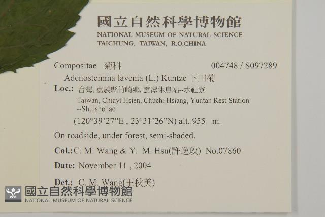 下田菊藏品圖，第2張