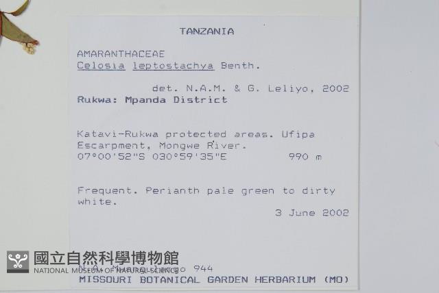 登錄號:S096489藏品圖，第2張