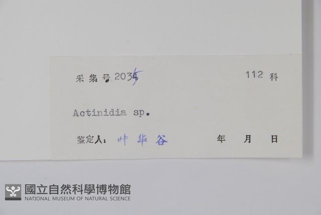 登錄號:S042489藏品圖，第2張