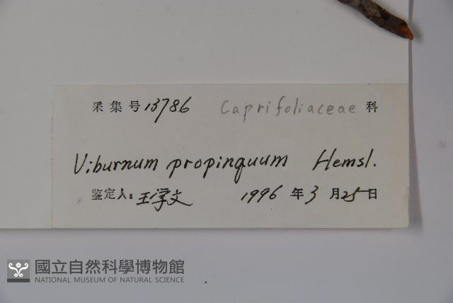 高山莢迷藏品圖，第2張