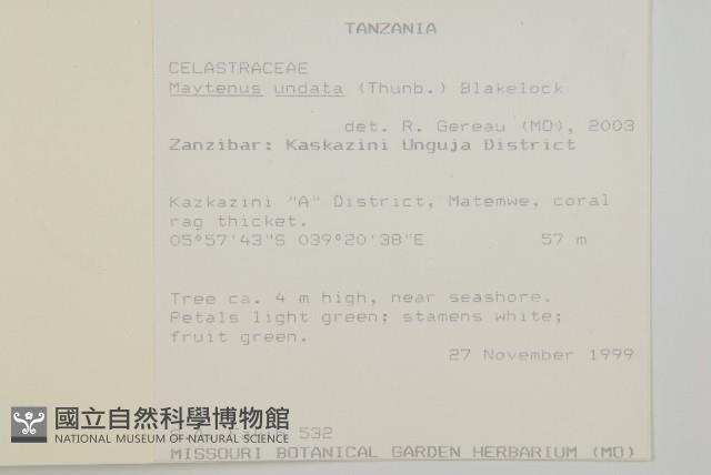 登錄號:S097489藏品圖，第2張