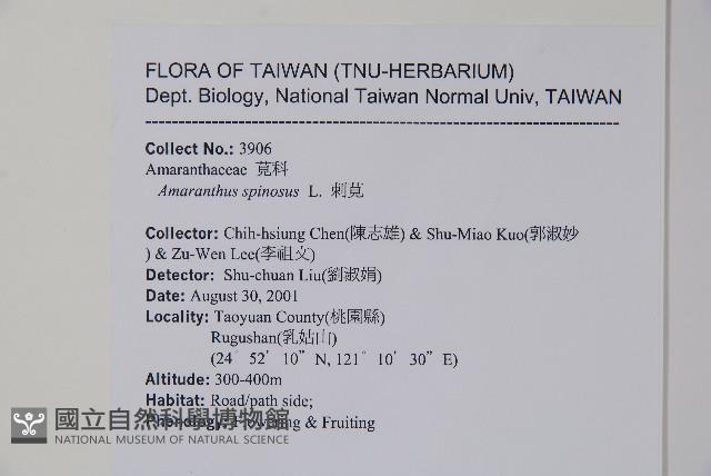 刺莧藏品圖，第2張