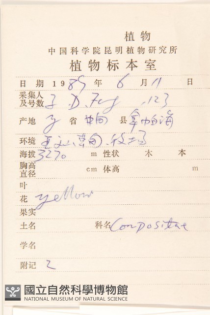 華蒲公英藏品圖，第2張