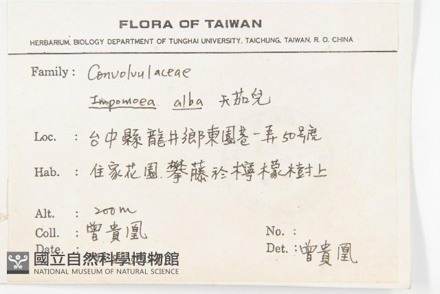 天茄兒藏品圖，第2張