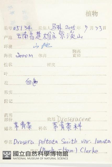 茅膏菜藏品圖，第2張