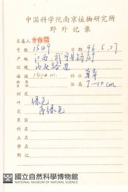 齒緣苦實藏品圖，第2張