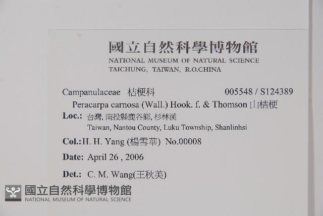 山桔梗藏品圖，第2張