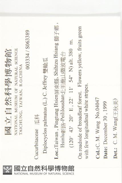 雙輪瓜藏品圖，第5張