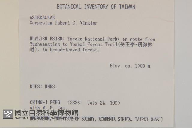 貴州天名精藏品圖，第2張