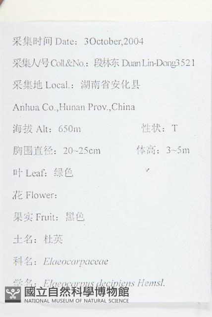 杜英藏品圖，第2張