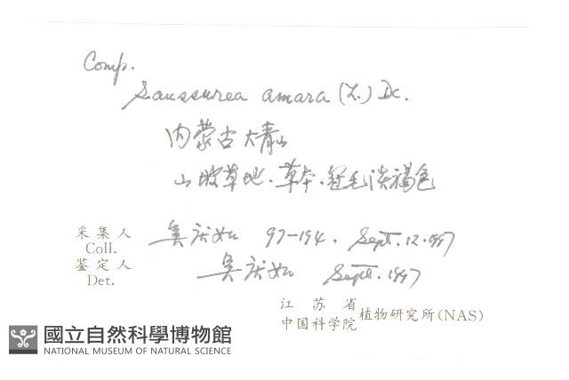 草地風毛菊藏品圖，第2張