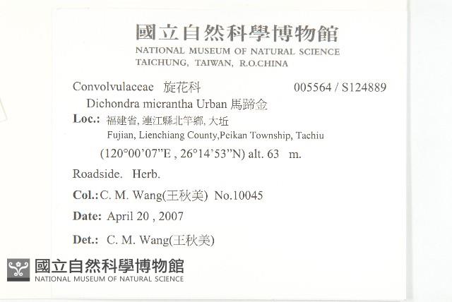 馬蹄金藏品圖，第2張