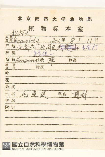 毛蓮菜藏品圖，第2張