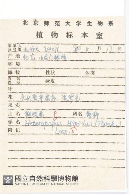 狗娃花藏品圖，第2張