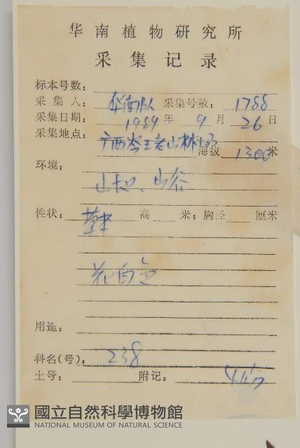 下田菊藏品圖，第2張