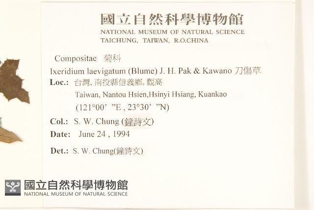 刀傷草藏品圖，第2張