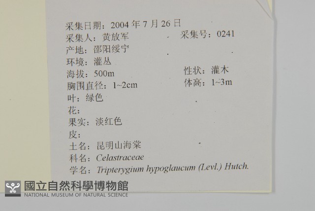 昆明山海棠藏品圖，第2張