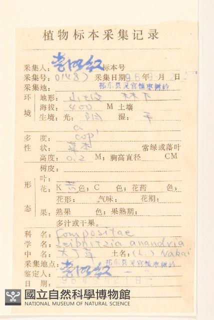 大丁草藏品圖，第2張