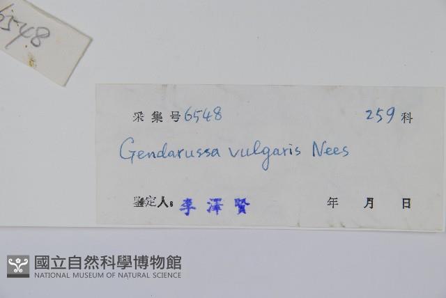 小駁骨丹、尖尾鳳藏品圖，第2張