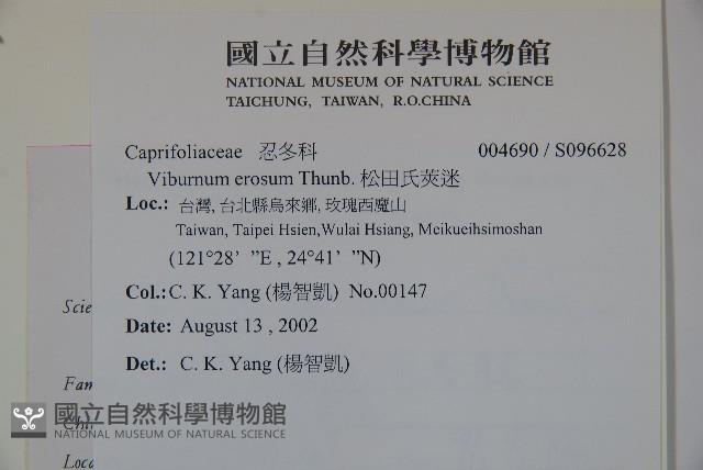 松田氏莢迷、宜昌莢迷藏品圖，第2張