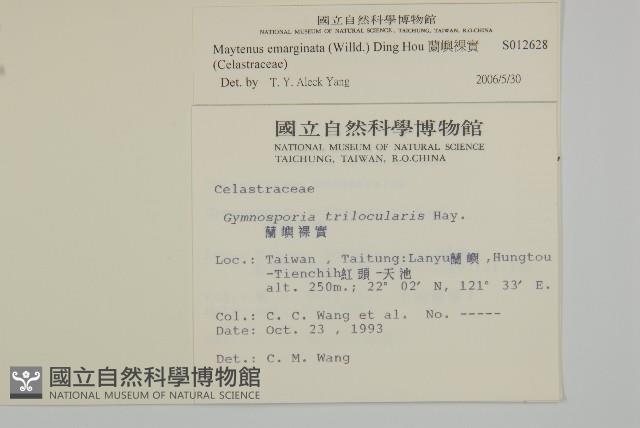 蘭嶼裸實藏品圖，第2張