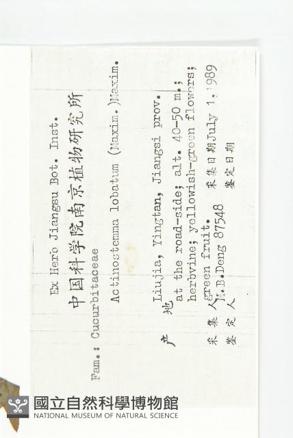 合子草藏品圖，第2張