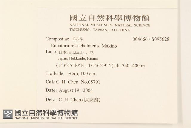 登錄號:S095628藏品圖，第2張
