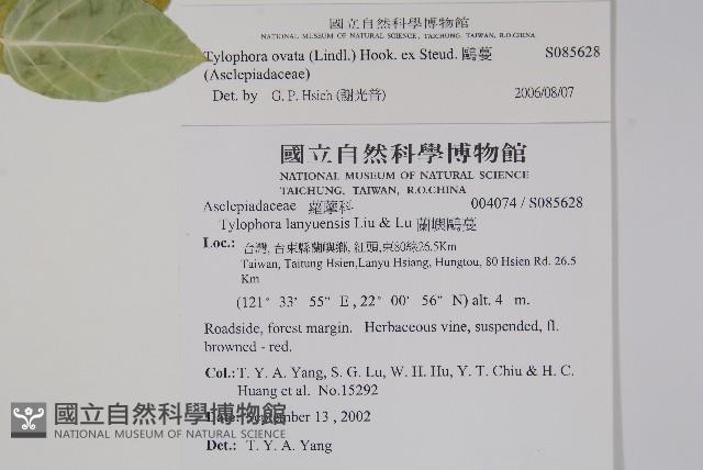 鷗蔓藏品圖，第2張