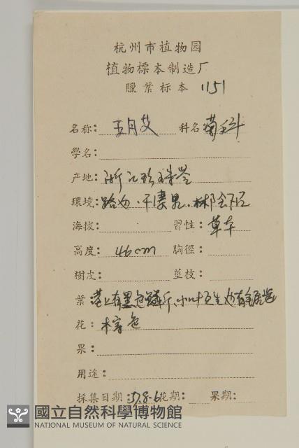 艾蒿藏品圖，第2張