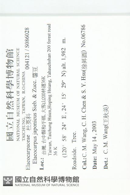 薯豆藏品圖，第2張