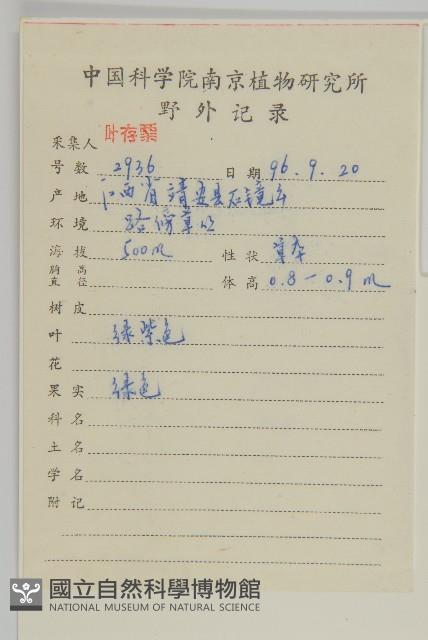 女婁菜藏品圖，第2張