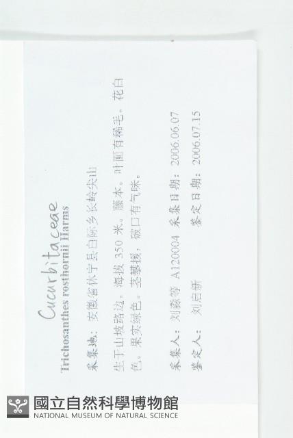 中華括樓藏品圖，第2張