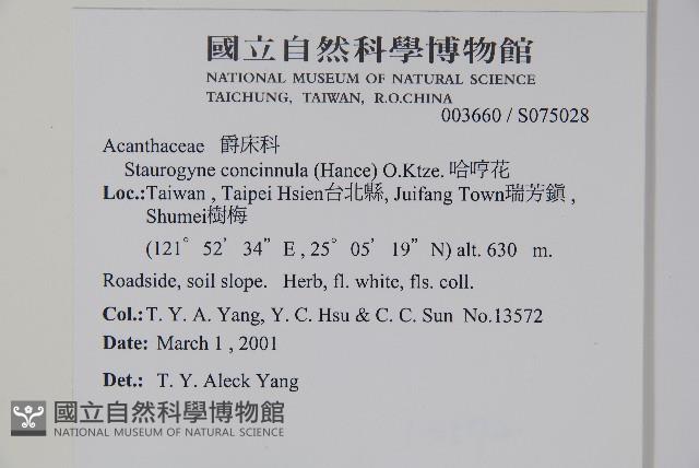 哈哼花藏品圖，第5張