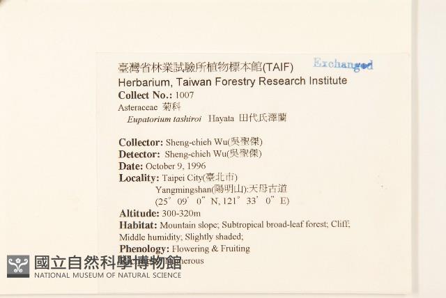 田代氏澤蘭藏品圖，第2張