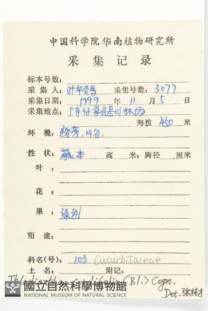 大苞赤瓟藏品圖，第2張