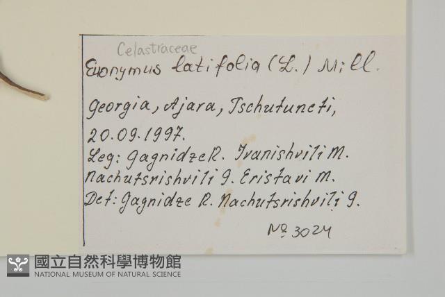 登錄號:S100728藏品圖，第2張