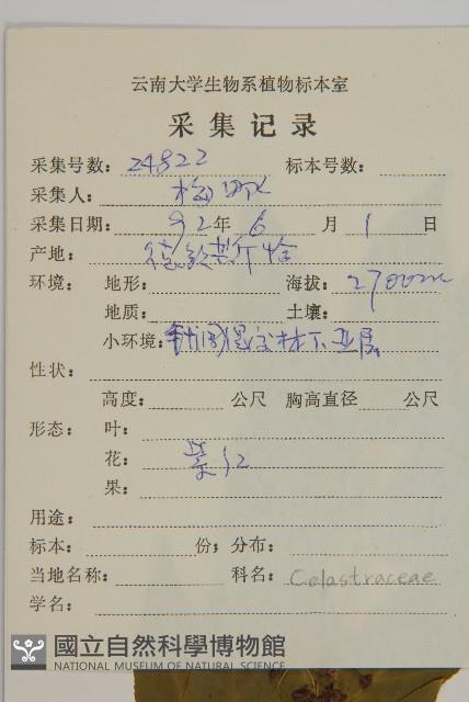 絨楚丘生衛矛藏品圖，第2張