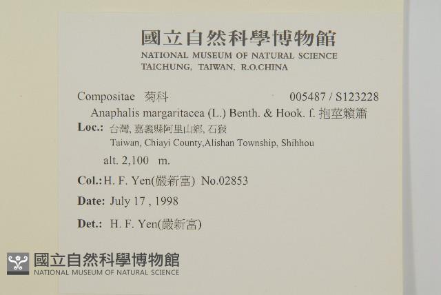 抱莖籟簫藏品圖，第2張