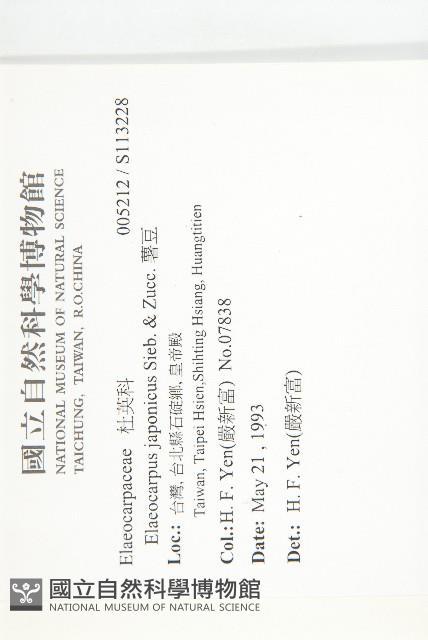 薯豆藏品圖，第2張