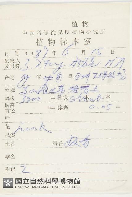 紅花岩梅藏品圖，第2張