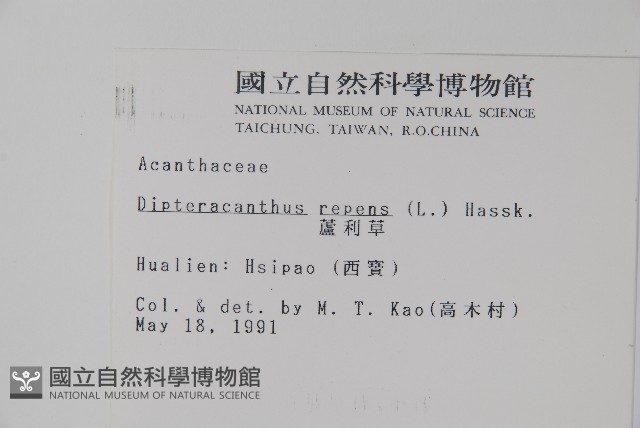 蘆利草藏品圖，第2張