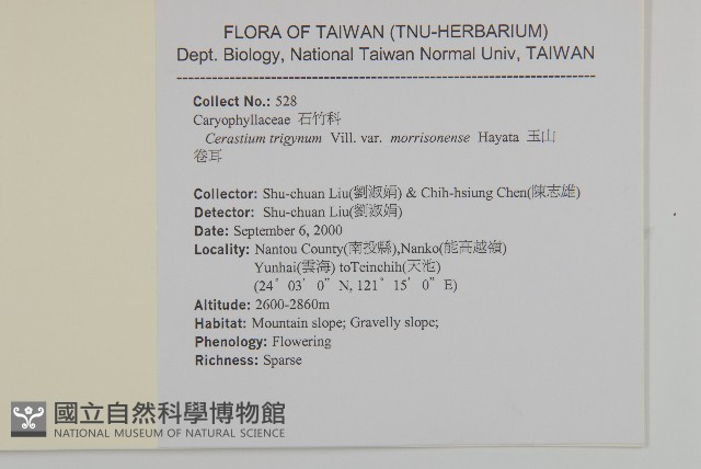 玉山卷耳藏品圖，第2張