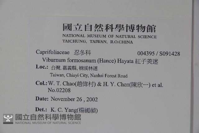 紅子莢迷藏品圖，第2張