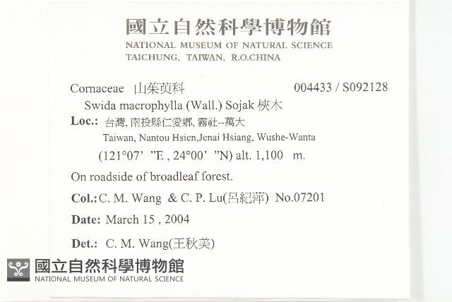 梜木藏品圖，第2張