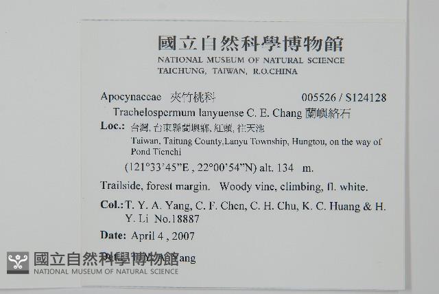 蘭嶼絡石藏品圖，第2張